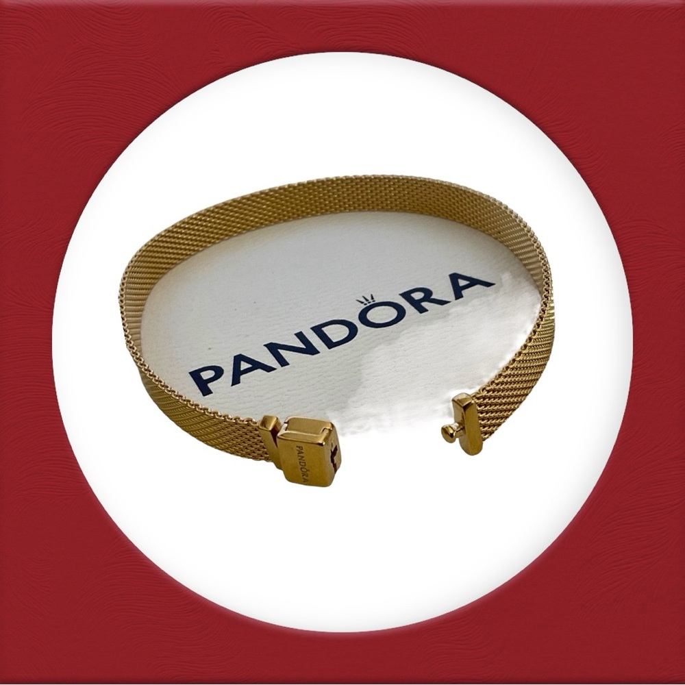 PANDORA “Reflexions” Mesh Bracelet—Unisex